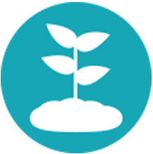 Plant a Tree Ecologi Icon